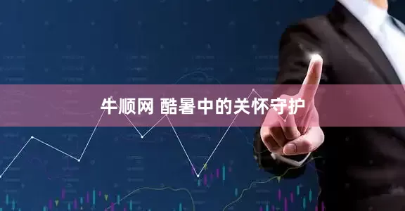牛顺网 酷暑中的关怀守护